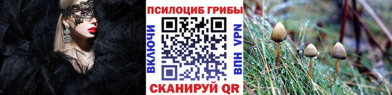 Галлюциногенные грибы прущие грибы  что такое наркотик  Нестеровская 